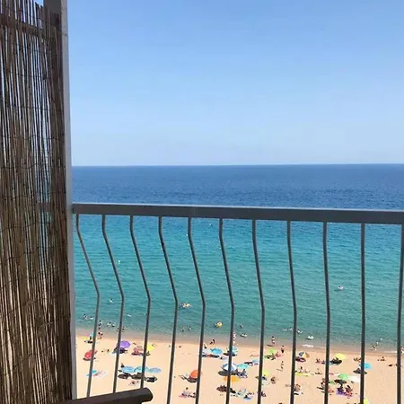 Bliss Blanes