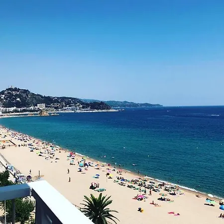 Bliss Daire Blanes