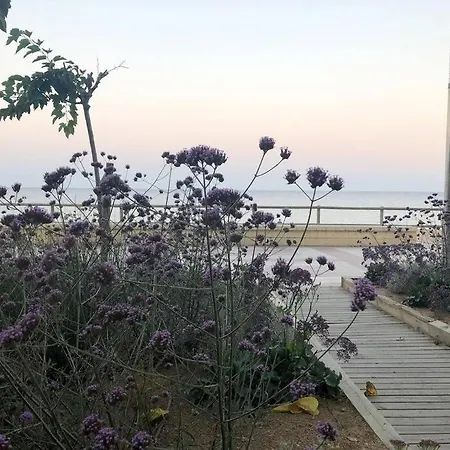 Bliss * Blanes
